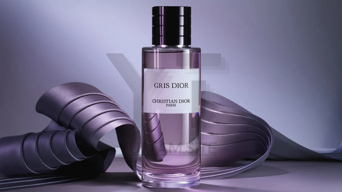 Dior Unisex Gris Esprit De